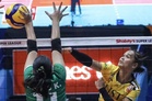 Tigresses rule Shakey’s Collegiate Invitationals