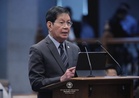 Lacson seeks forfeiture of Taguig reclaimed land
