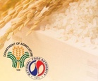 No rice import ban due to need to bolster supply