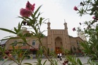 Milk tea helps boost livelihoods in Xinjiang