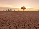 Late-year tightening seen due to El Niño