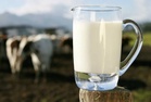 Local milk production up 21.2% in H1