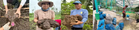 Searca highlights climate-resilient farming, promising ube varieties