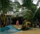 Agri losses due to storms hit P1.73B