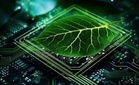 Inner Mongolia ramps up green computing, AI services