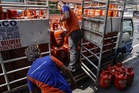 DOE: LPG prices to go down in September