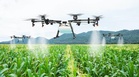 DA eyeing use of Chinese smart farming techniques
