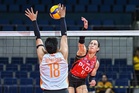 PLDT defeats Farm Fresh to end 2-game slump