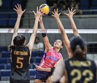 Creamline, EST Cola seek PVL finals