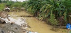 Final tally of agri damage: P4.38B
