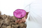 Farmers’ groups back ube export suspension