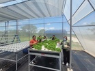 Urban agriculture takes root in Isabela