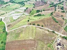 Construction starts on road for farmers