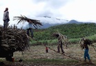 Sugar farmers want minimum millgate price