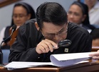 2 Davao properties aren’t in VP’s SALN