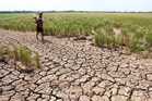Drought risks may raise inflation by 1.57%