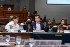 Senate panel okays P198.4B agri budget