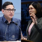 Senators seek BIR pause on registration badge