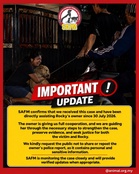 SAFM calls for thorough investigation into alleged torture and killing of pet dog