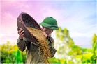 Two major issues Malaysia must solve: Food import dependence and population decline