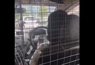 Female e-hailing driver goes viral after installing metal barrier for protection (video)