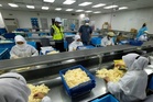 Will exempting MSMEs from the minimum wage requirement widen inequality?