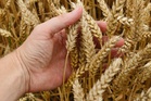 Global food prices hit nearly four-year high as wars, weather disrupt trade