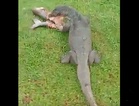 Two ‘people friendly’ monitor lizards fascinate visitors to Seremban Lake Gardens (video)