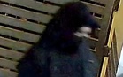 Police hunt for black-robed intruder caught stealing drying clothes in Ampang home (video)