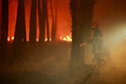 Wildfires force mass evacuations across Europe as heatwave fuels blazes