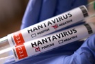 Canada confirms suspected human case of rare Andes hantavirus linked to cruise ship outbreak