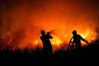 Indonesia battles worst wildfires in 11 years as haze hits neighbours
