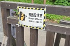 Foreign tourist injured in bear attack in Japan