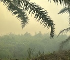 Haze: All 13 unhealthy air readings recorded in Sarawak with Sri Aman highest at 182