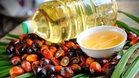 MPOC expects palm oil exports to remain stable at 16m tonnes in 2027