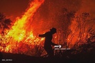 Indonesia kenal pasti 198 suspek kebakaran hutan, tanah