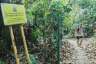 Selangor suspends traverse, compressed hiking in forest reserves