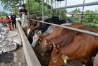 Belanjawan 2027 perlu fokus pendapatan petani, penternak