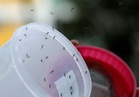 527 kes denggi, satu kematian di Kuala Langat setakat Mei, penduduk digesa perangi Aedes