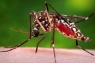 Kuala Langat records over 1,000 dengue cases, one death
