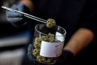 Thailand to tighten cannabis controls, propose tougher penalties