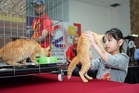 A little help for pet lovers under Budget 2027