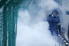 Dengue cases rise 66 pct on-year nationwide