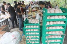 雪州水果谷每2个月产75万肉鸡 支撑雪州粮食安全保障