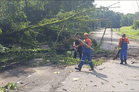 MBSJ laksana penyelenggaraan pokok berisiko hingga November