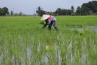 Selangor tambah RM6 juta bantuan petani, nelayan libat 2,469 penerima