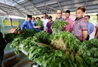 Selangor entrepreneurs can secure financing in just 48 hours