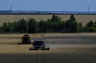 Decades of farm gains, inventories strengthen food system against 'super' El Nino