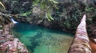 Ayer Hitam Forest Reserve land unsafe for development — MB