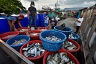 Bekalan ikan negara masih stabil, kerajaan pantau kesan kenaikan diesel